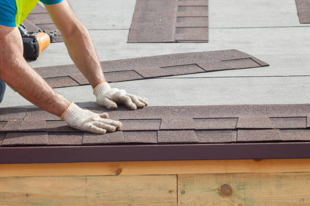 Best Roof Coating and Sealing  in Sea Breeze, NC